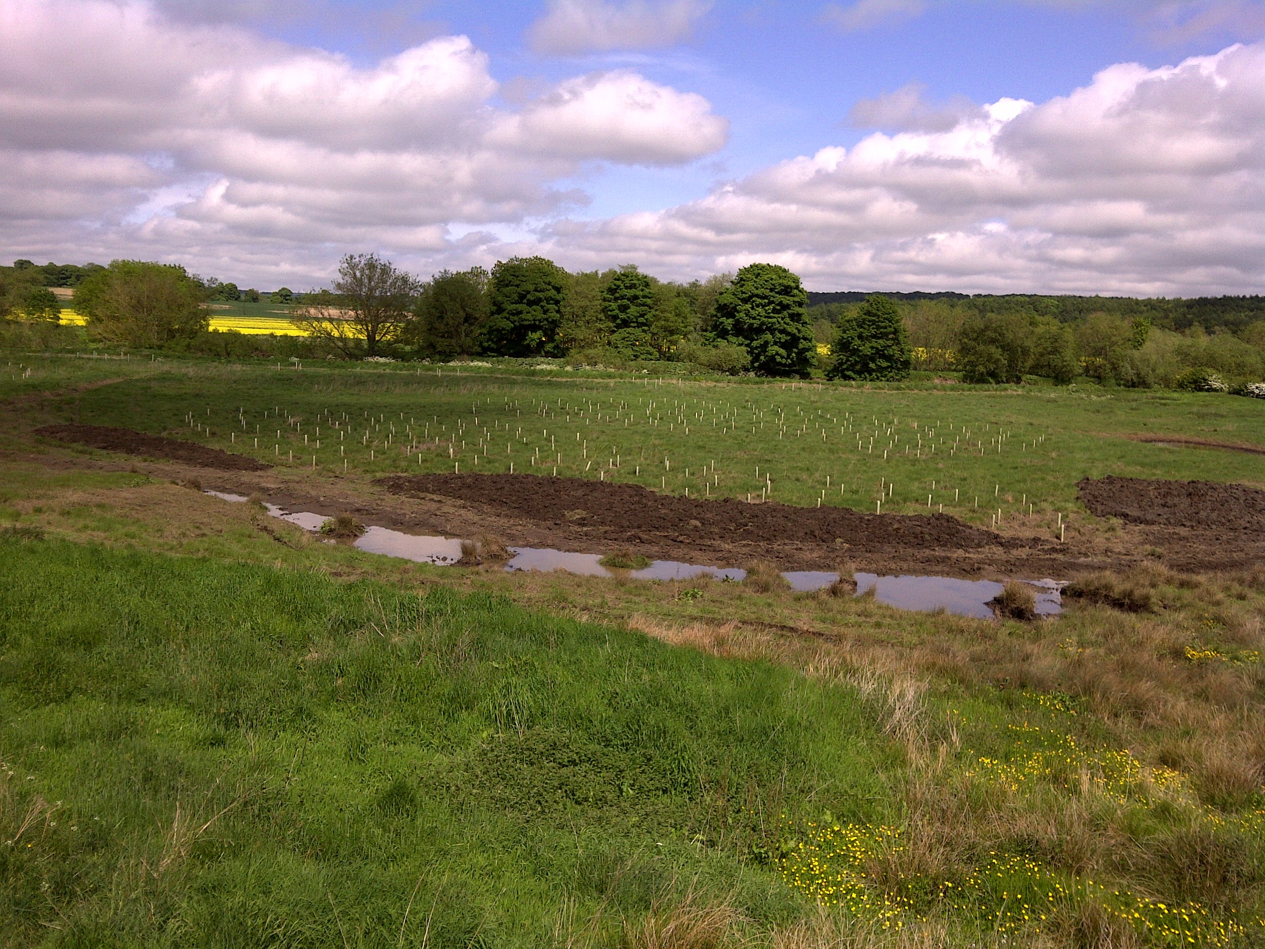 Groundwork maintenance in County Durham by Ground Improvements Ltd
